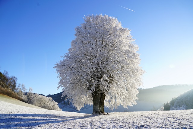 Zima dla aktywnych fizycznie – co robić zimową porą?